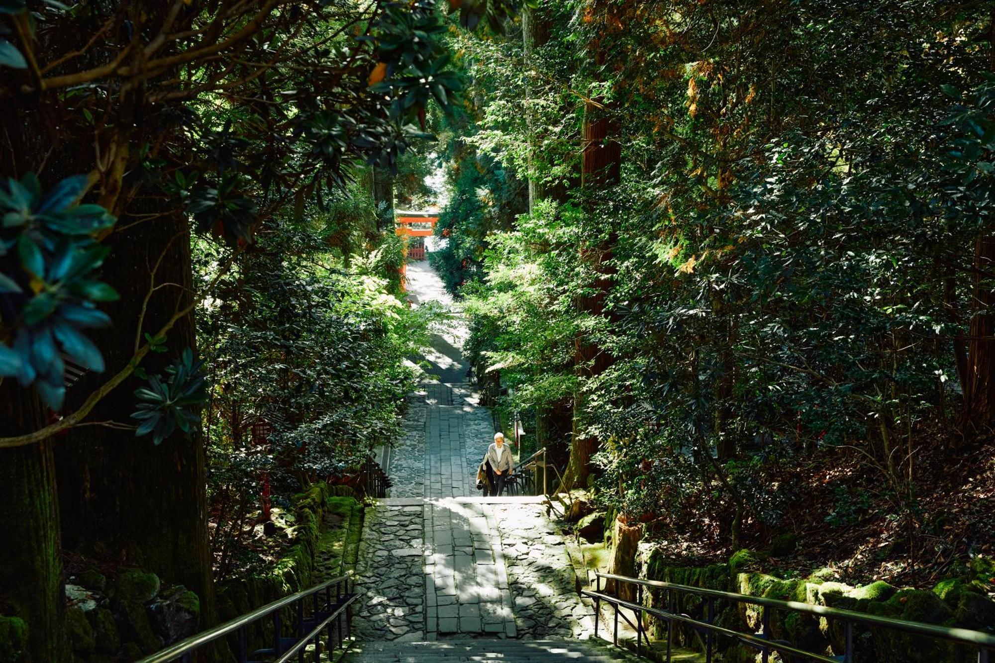 Villa Hakone Kabuto 古民家旅館 150平米 バス停迄一分 準天然温泉 最大12名 Exteriör bild