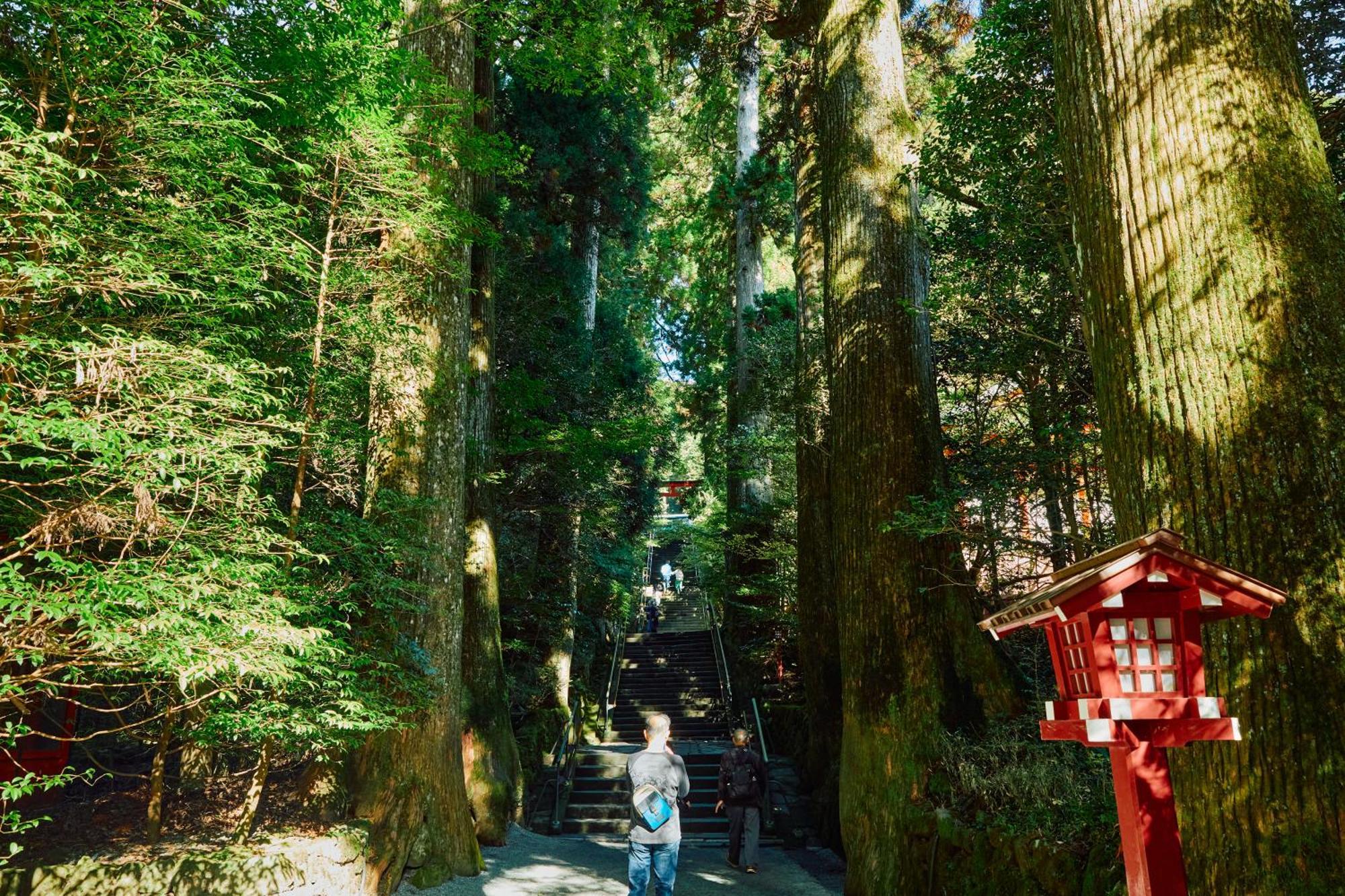 Villa Hakone Kabuto 古民家旅館 150平米 バス停迄一分 準天然温泉 最大12名 Exteriör bild